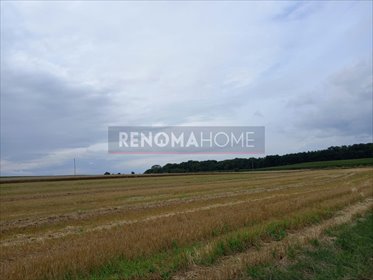 działka na sprzedaż 1500m2 działka Stefanowice