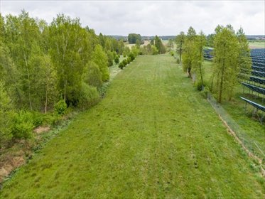 Działka rolna 15 391 m² z możliwością rozwoju gospodarstwa działka Kuny