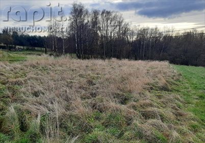 Działka budowlana na sprzedaż Łyczanka 2 600m2 Foto 2