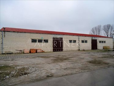 Lokal użytkowy na wynajem Piątek 1 000m2 Foto 2