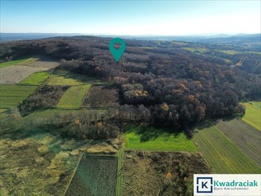 działka na sprzedaż 6100m2 działka Podniebyle