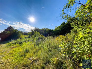 Działka 1200 m² w Dzierżążno Wielkie - zapraszam działka Dzierżążno Wielkie
