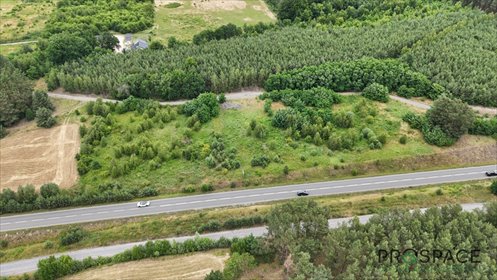 działka na sprzedaż 9900m2 działka Zielona Góra, Stary Kisielin