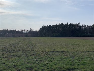 działka na sprzedaż 48209m2 działka Pątnów Legnicki, Pątnów Legnicki