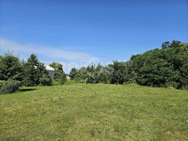 działka na sprzedaż 1072m2 działka Krzeczyn