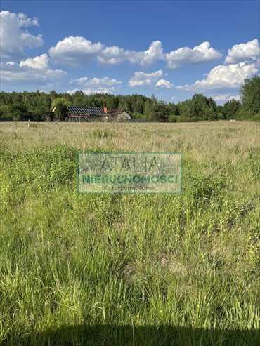 Działka 7196 m² z mediami i dostępem do asfaltu działka Stare Budy