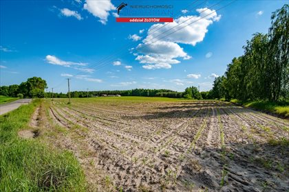 Działka rolna na sprzedaż Witrogoszcz-Kolonia 183 634m2 Foto 5