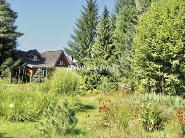 Lokal użytkowy na sprzedaż Białowieża 500m2 Foto 5
