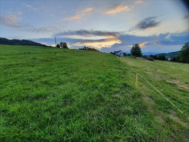 Działka budowlana na sprzedaż Juszczyna 5 372m2 Foto 2