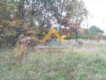 Działka leśna na sprzedaż Suchowo 19 300m2 Foto 3