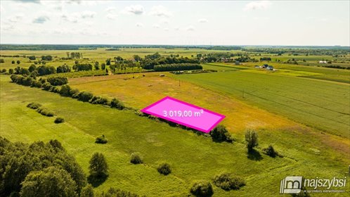 Do sprzedania działki budowlane 3019 m² w Ninikowie działka Ninikowo