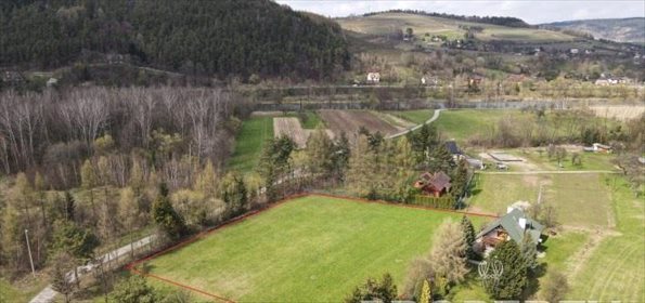 Działka budowlana na sprzedaż Zarzecze 3 200m2 Foto 5
