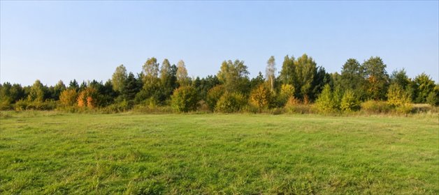 Działka 3931 m² pod zabudowę w Wólce Radzymińskiej działka Wólka Radzymińska, Szkolna