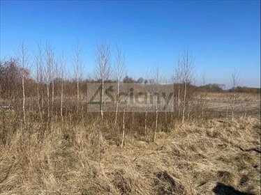 działka na sprzedaż 1365m2 działka Brwinów