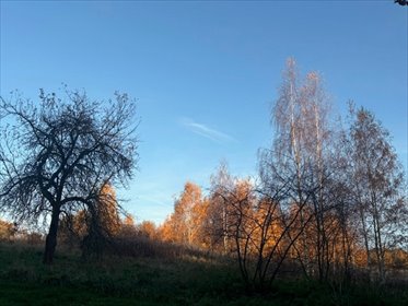 działka na sprzedaż 1200m2 działka Zapusta