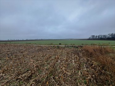 Działka 3326 m² z planem zagospodarowania w Złotnikach działka Złotniki, Złotniki, J. Kochanowskiego