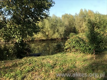 działka na sprzedaż 3000m2 działka Kozerki