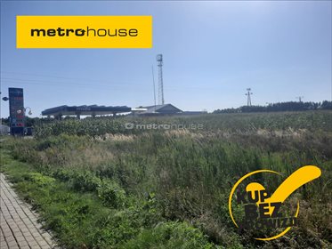 Działka rolna na sprzedaż Jagodne, Kotuń 60 000m2 Foto 1