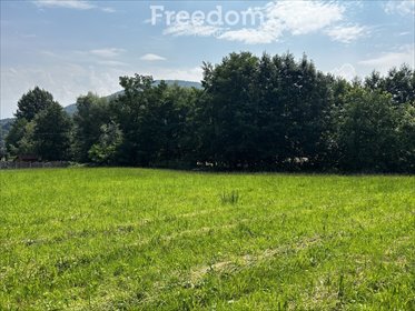 Działka budowlana na sprzedaż Targanice, Olchowa 1 300m2 Foto 4
