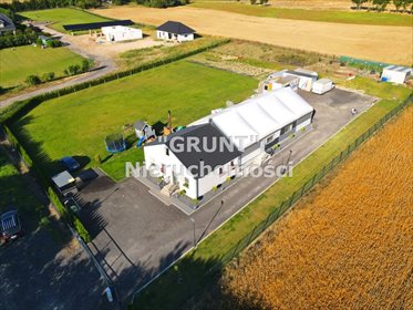 Magazyn na wynajem Szydłowo 290m2 Foto 3