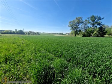 działka na sprzedaż 4600m2 działka Cianowice Małe