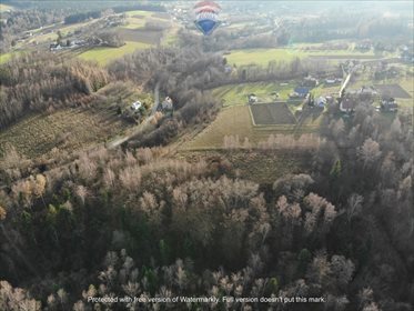 Działka budowlana na sprzedaż Łazy Brzyńskie 22 400m2 Foto 5