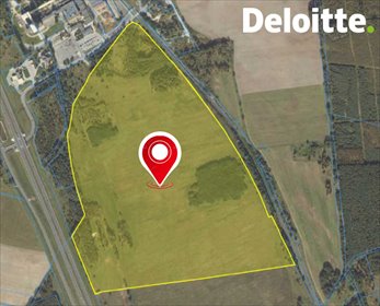 działka na sprzedaż 514260m2 działka Polkowice, Polkowice