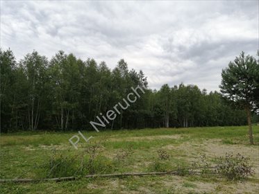Działka inwestycyjna na sprzedaż Ciopan 16 200m2 Foto 4