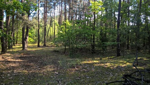 Działka rolna na sprzedaż Łękawica 11 842m2 Foto 7