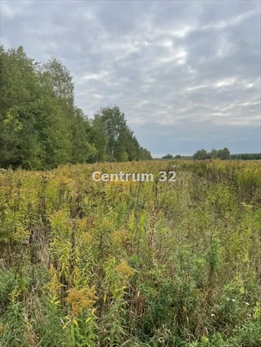 Zapraszam do zakupu działki 6495 m² pod usługi w Woli Pękoszewskiej działka Wola Pękoszewska