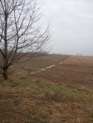 działka na sprzedaż 640m2 działka Wilkowice