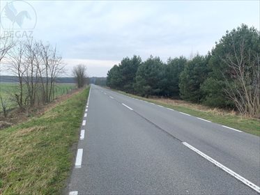 Działka rolna na sprzedaż Lewice 3 500m2 Foto 6