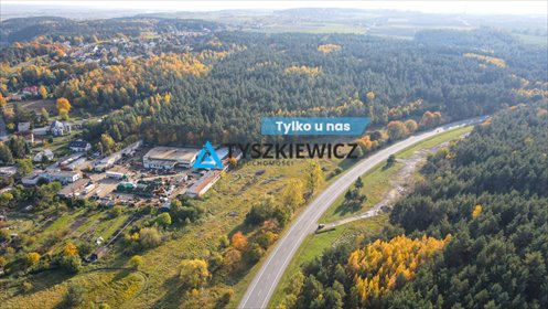 działka na sprzedaż 13900m2 działka Nicponia