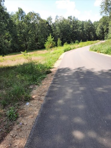 działka na sprzedaż 9873m2 działka Żarki-Letnisko, Żarki-Letnisko, Jasna