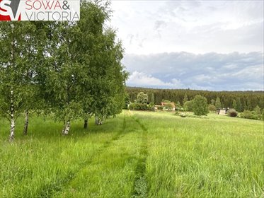Urokliwa działka 3173 m² z lasem i nasłonecznieniem działka Bartnica