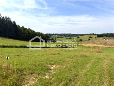 Działka 1000 m² z warunkami zabudowy i widokiem działka Kobysewo