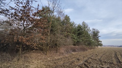 działka na sprzedaż 3000m2 działka Wielopole, Wielopole