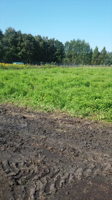 działka na sprzedaż 1470m2 działka Grodzisk Mazowiecki, Stare Budy