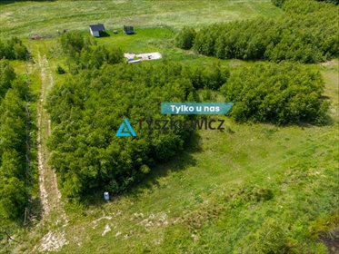 Działka 1501 m² pod dom z ogrodem, las, cisza, inwestycja działka Nowa Wieś Przywidzka