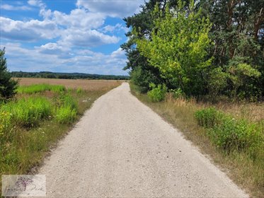 działka na sprzedaż 1176m2 działka Zelgoszcz