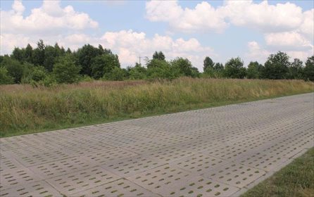 Działka rolna na sprzedaż Łódź, Widzew, Stare Moskule, Opolska 14 997m2 Foto 7