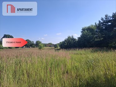 Działka 5100 m² w Piękocin z MPZP - polecam działka Piękocin
