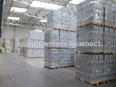 magazyn na wynajem 1680m2 magazyn Białystok, Bacieczki TBS