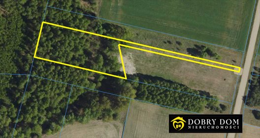 Działka leśna 3000 m² w Kosmatym Borku – spokój i natura działka Kosmaty Borek