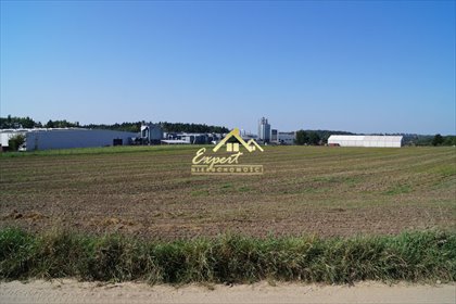 działka na sprzedaż 17453m2 działka Nowe Miasto Lubawskie, Nowe Miasto Lubawskie