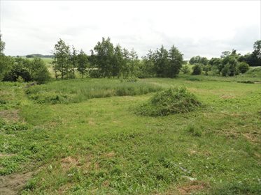 Dom na sprzedaż Młynary, Warszawska 289m2 Foto 7