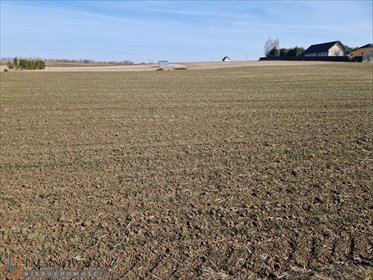 działka na sprzedaż 915m2 działka Sieciechowice