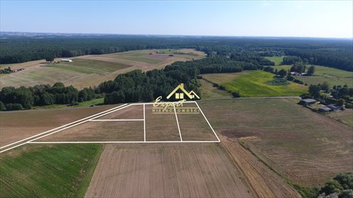 działka na sprzedaż 3013m2 działka Dziarny