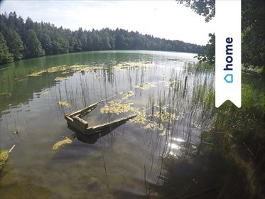 Działka rekreacyjna nad jeziorem Orłowskim w Piasecznie działka Piaseczno