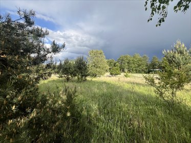 działka na sprzedaż 6600m2 działka Drawiny